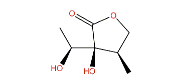 (3S,4R)-2-Hydroxy-2-(1-hydroxyethyl)-3-methyl-gamma-butyrolactone